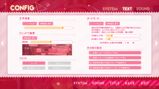 環境設定画面(TEXT)